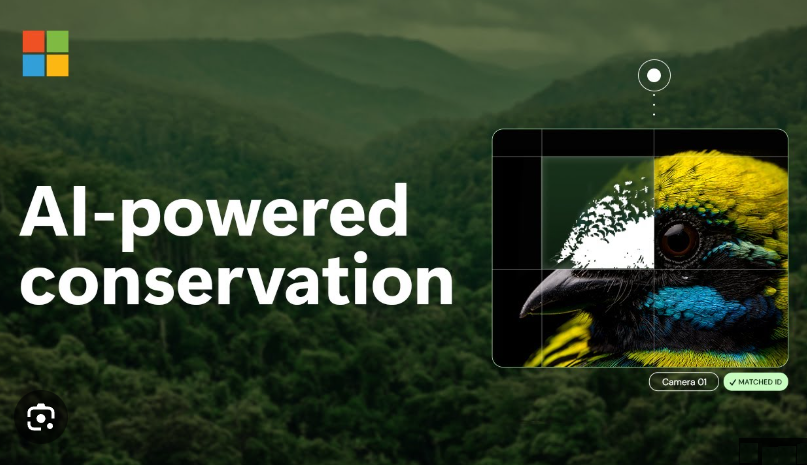 An AI conservation effort