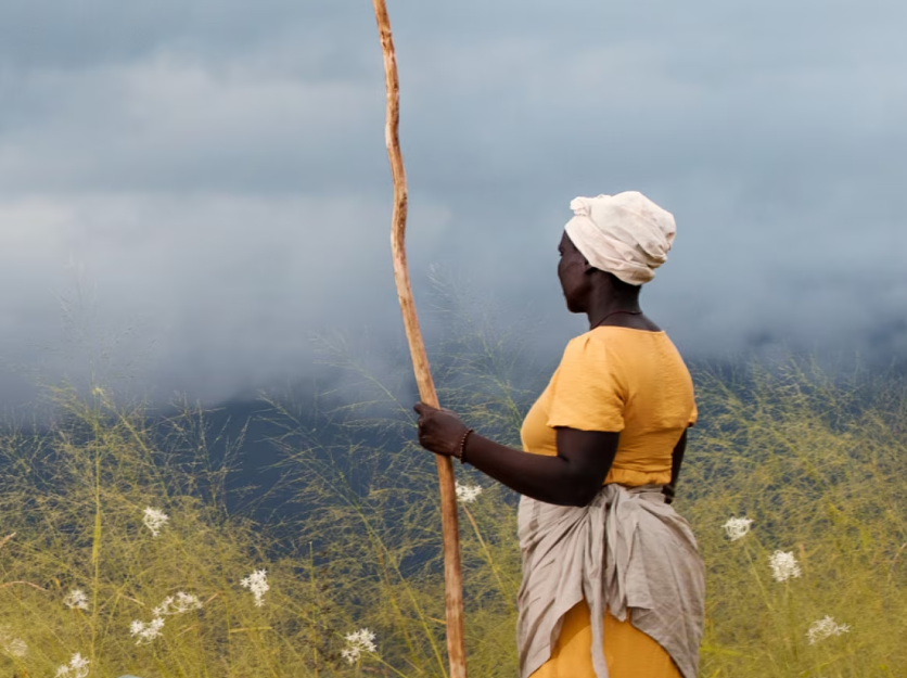 A woman observing coffee plants