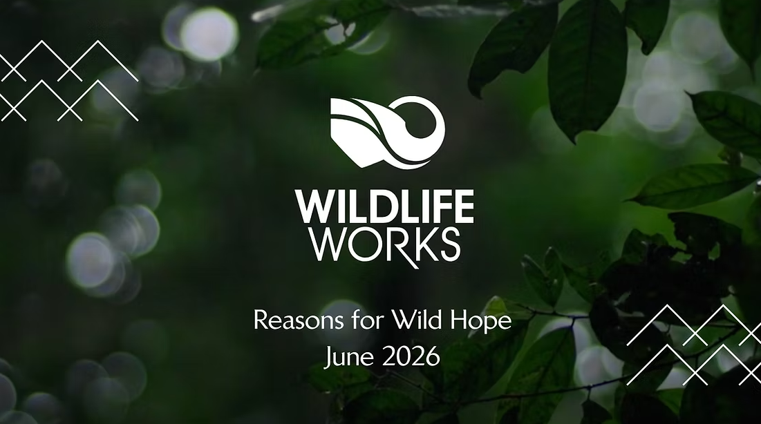The Wildlife Works logo
